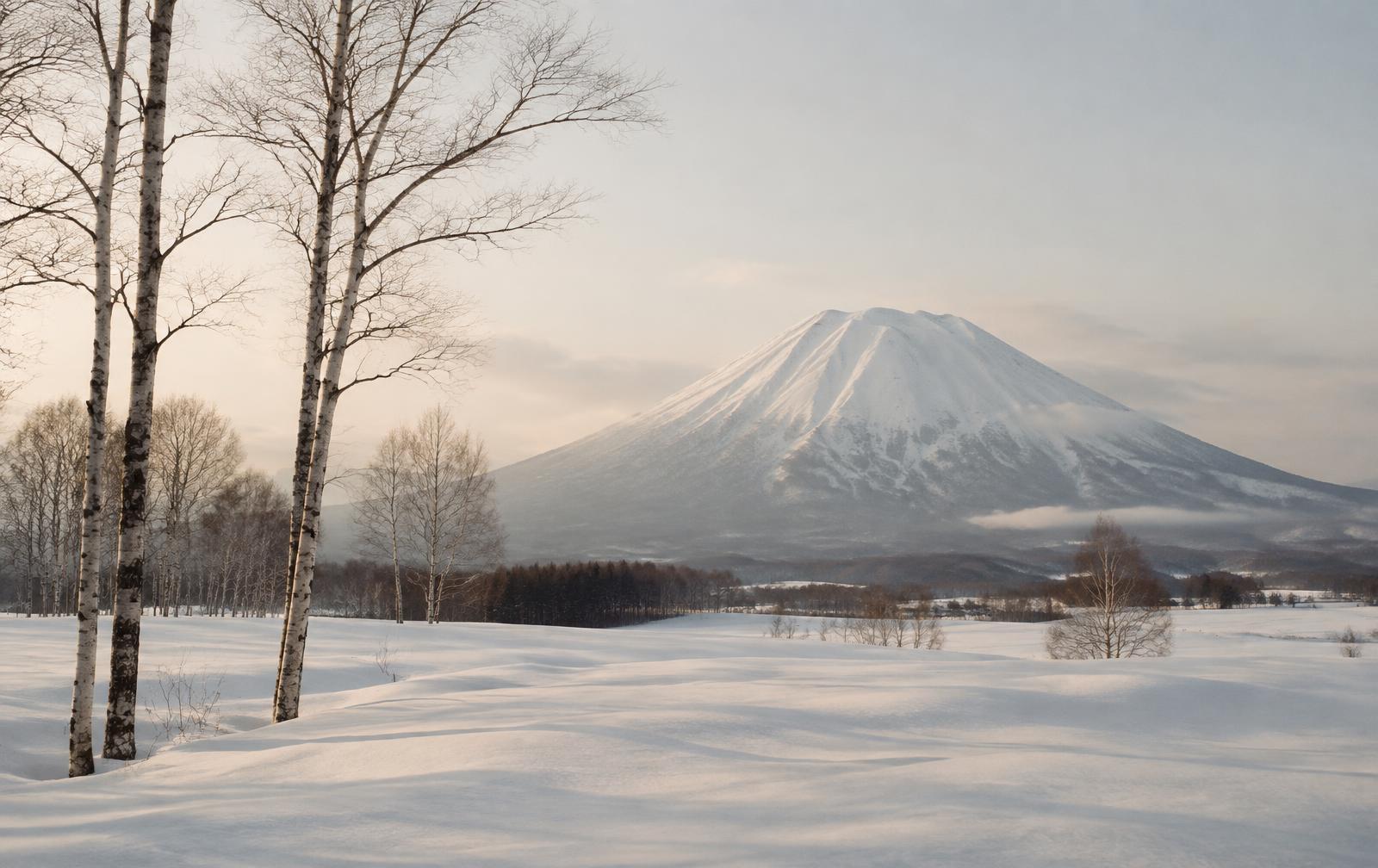 Illustrative image of a snow-capped volcanic peak above snowfields and birch trees; not a verified photograph of Mount Yōtei or Niseko